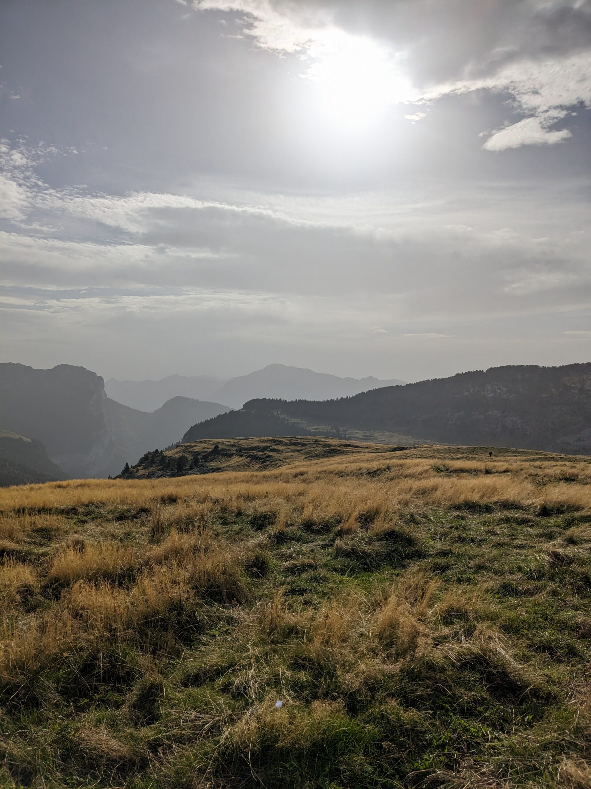 Paysage de Chartreuse